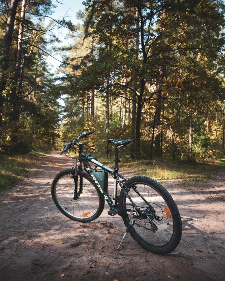 Lesna 21 Dom Poludnie Przy Puszcza Bialowieska Luka Екстериор снимка