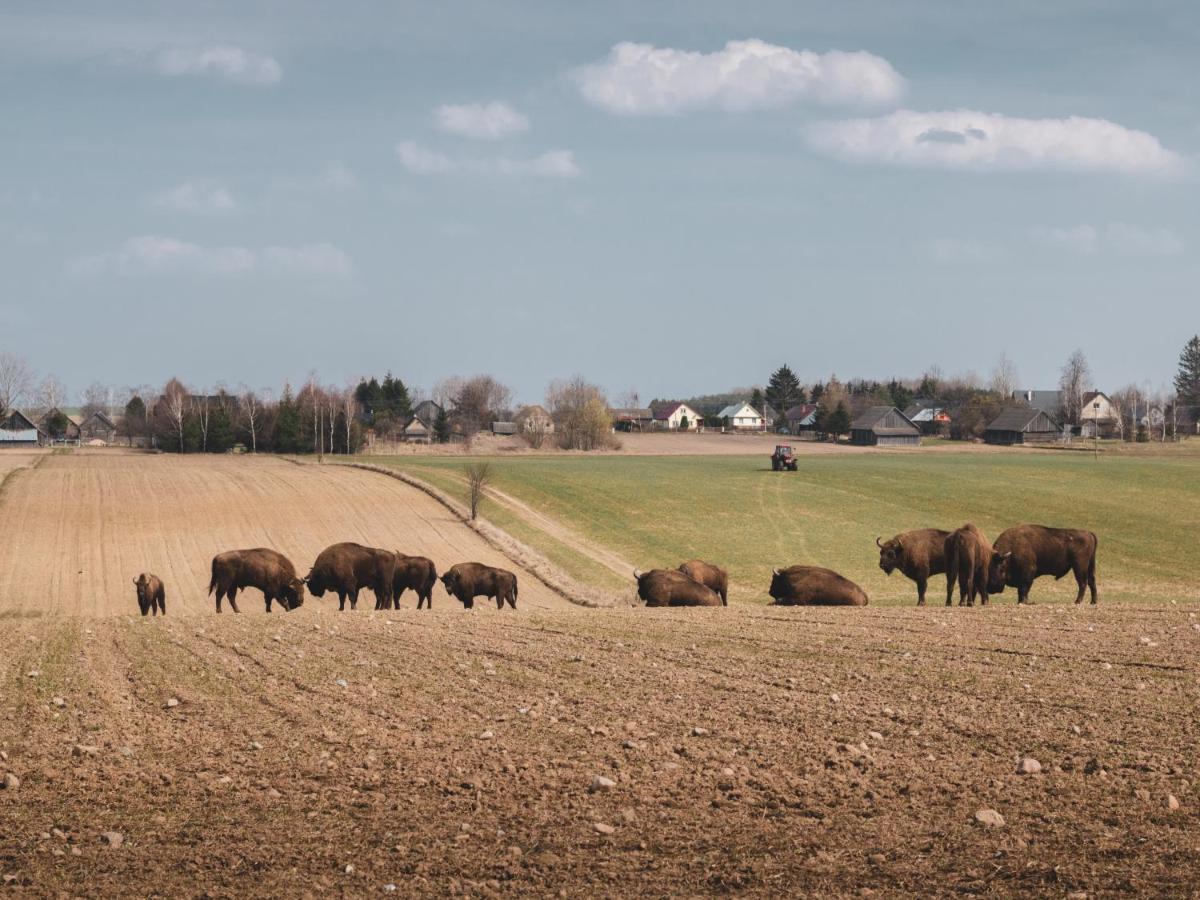 Lesna 21 Dom Poludnie Przy Puszcza Bialowieska Luka Екстериор снимка
